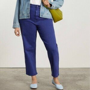 Everlane The Way-High Jeans, Blue